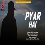 Pyar Hai Dj Remix Slowed &amp; Reverb