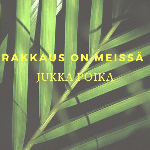 Rakkaus on meissä_poster_image