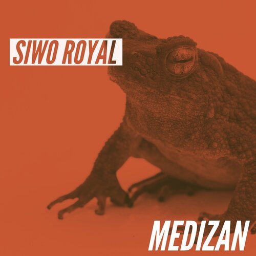 Siwo (Daweird Mix) cover art