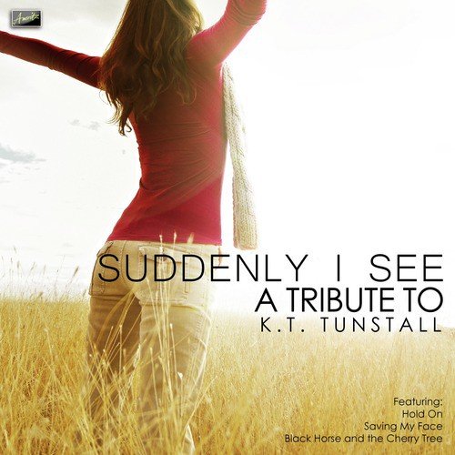 Suddenly I See - A Tribute to K T Tunstall_poster_image