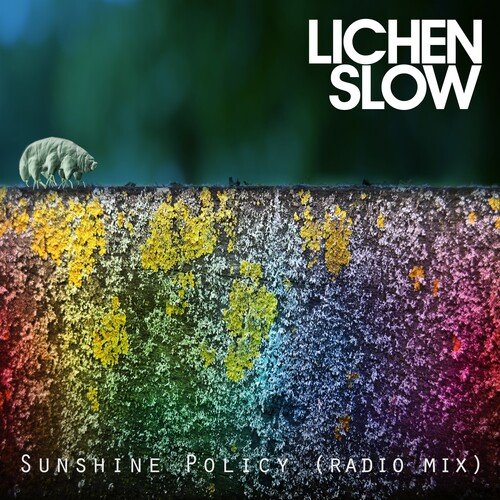 Sunshine Policy (Radio Mix) cover art