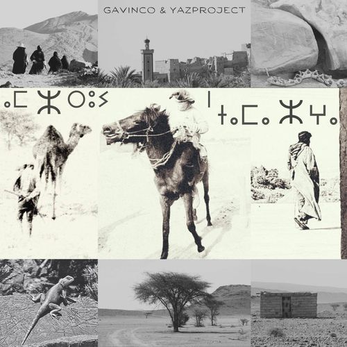 Moonlit Oasis cover art