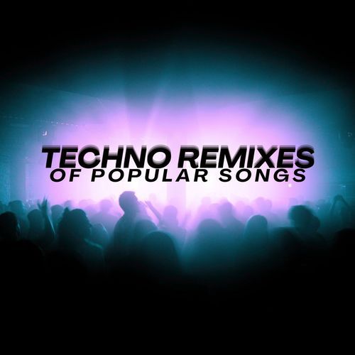 Techno Remixes of Popular Songs_poster_image