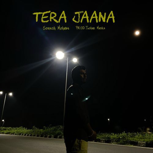 Tera Jaana