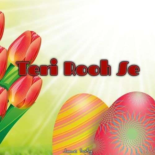 Teri Rooh Se