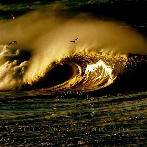 ASMR the Sleepy Seas cover art