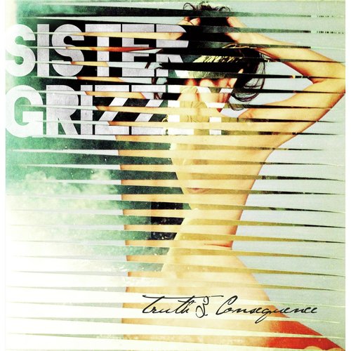 Skillet cover art