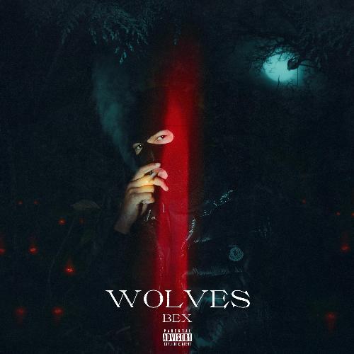 Wolves_poster_image