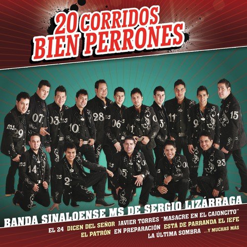 El Aguila Blanca (Corrido) - Song Download from 20 Corridos Bien Perrones @  JioSaavn