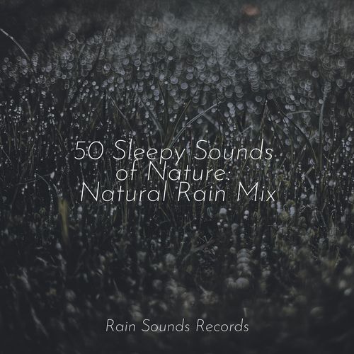 50 Sleepy Sounds of Nature: Natural Rain Mix