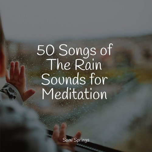 50 Songs of The Rain Sounds for Meditation_poster_image