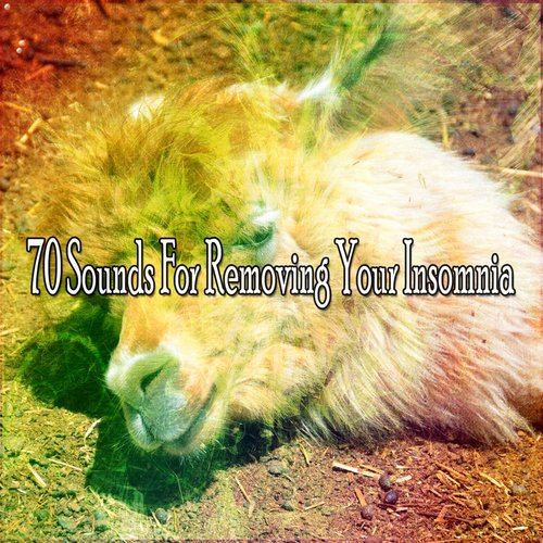 70 Sounds For Removing Your Insomnia