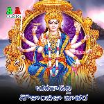 Anakapalli Nokambika Jathara