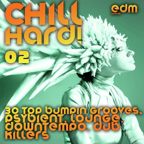 Chill Hard!, Vol. 2 (30 Top Bumpin Grooves, Psybient, Lounge, Downtempo, Dub Killers)