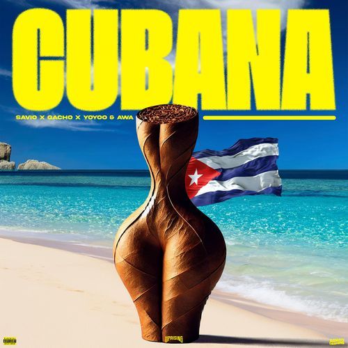 Cubana_poster_image