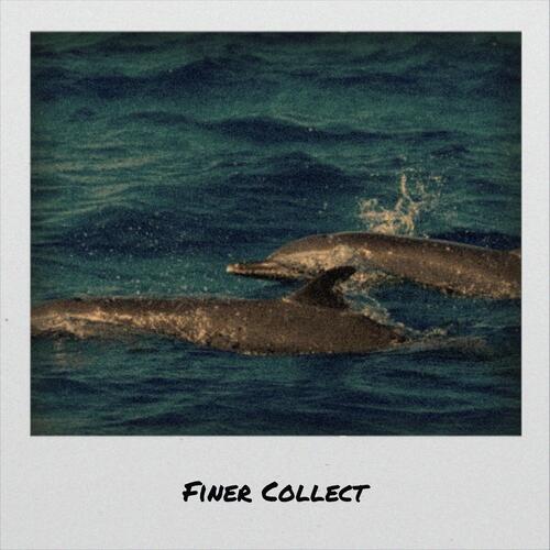 Posies cover art