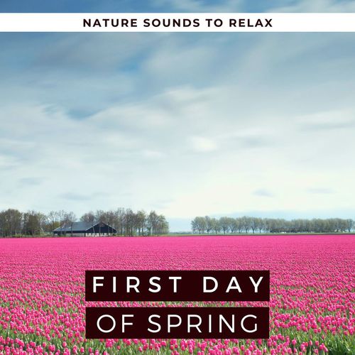First Day of Spring 2020: Nature Sounds to Relax with Birds, Rain, Blackbirds & Water