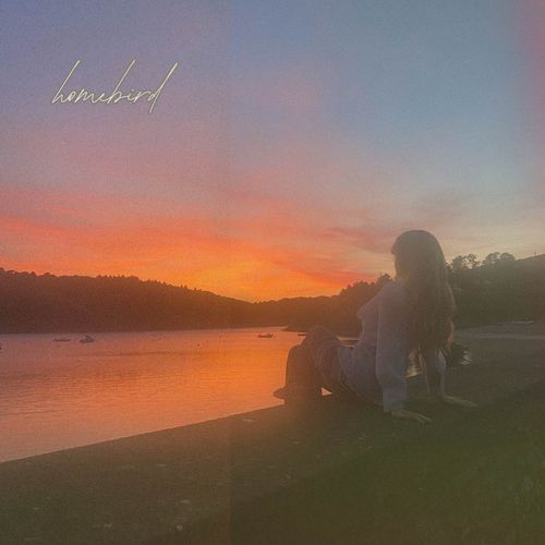 Homebird cover art