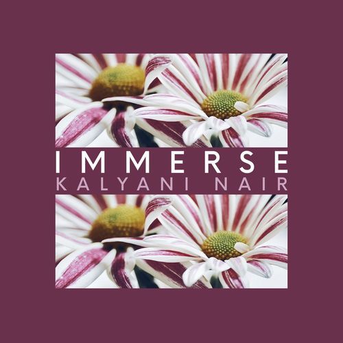 IMMERSE