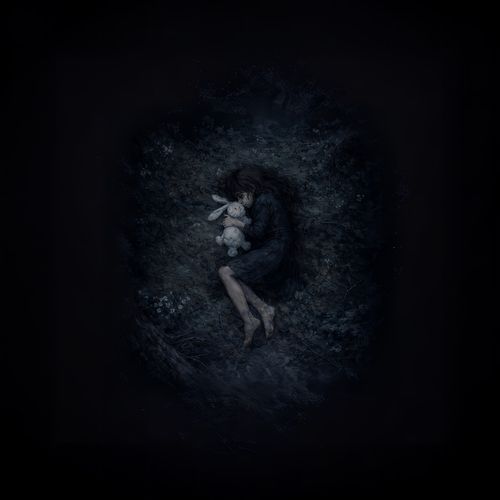 Komm Kaninchen cover art