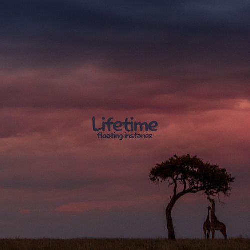 Lifetime