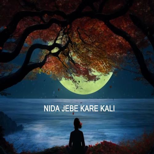 Nida Jebe Kare Kali