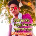 रोजी ना पिव टाईगर केन चटक गाला न प थार