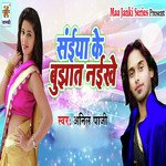 Saiya Ke Bujhat Naikhe