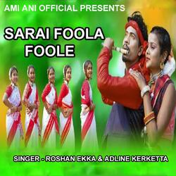 Sarai Foola Foole (Sadri Sarhul Song)-Ch0NdzB7DwA