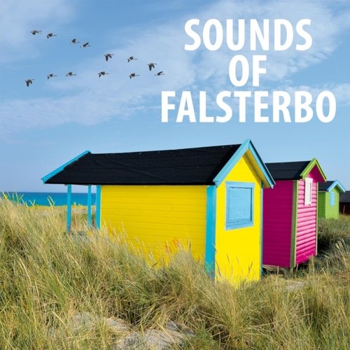 Falsterbo Horse Show / Hästvisa cover art