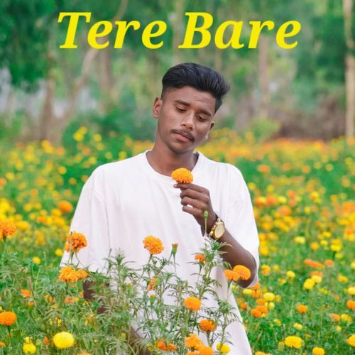 Tere Bare