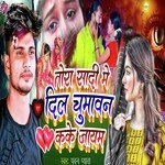 Tora Sadi Me Dil Chumavan Kake Jayem