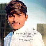 Tu Kai De Kem Aavi Na Pashi