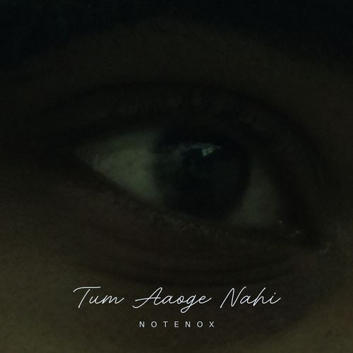 Tum Aaoge Nahi