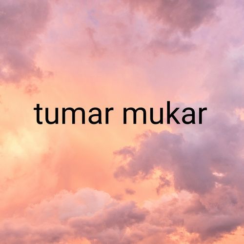 Tumar mukar hase