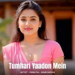 Tumhari Yaadon Mein