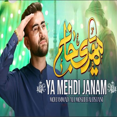 YA MEHDI JANAM