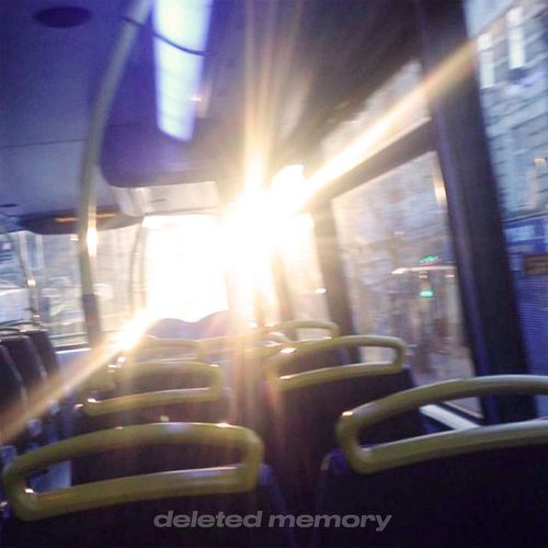 deleted memory