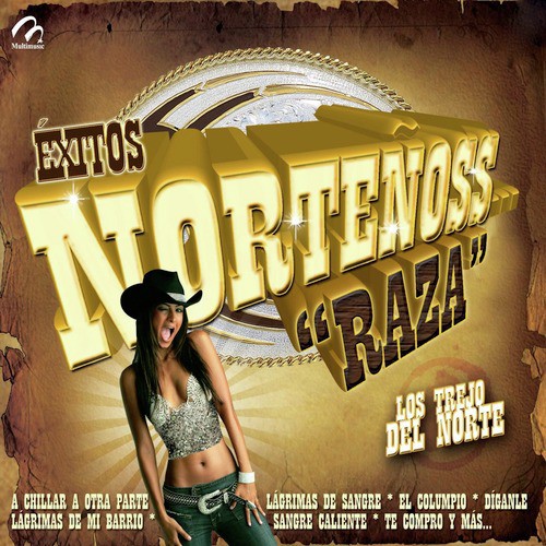 Éxitos Norteñoss… ¡Raza!_poster_image