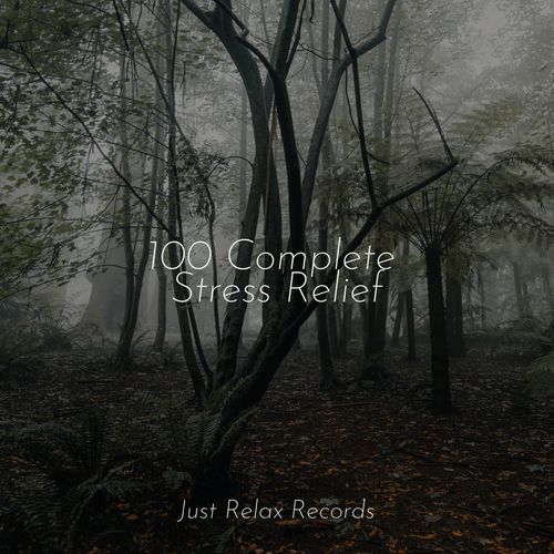 100 Complete Stress Relief