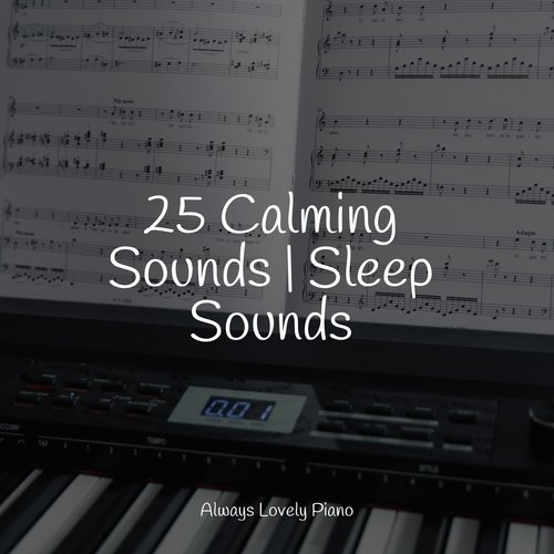 25 Calming Sounds | Sleep Sounds