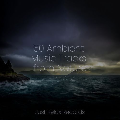 50 Ambient Music Tracks from Nature_poster_image