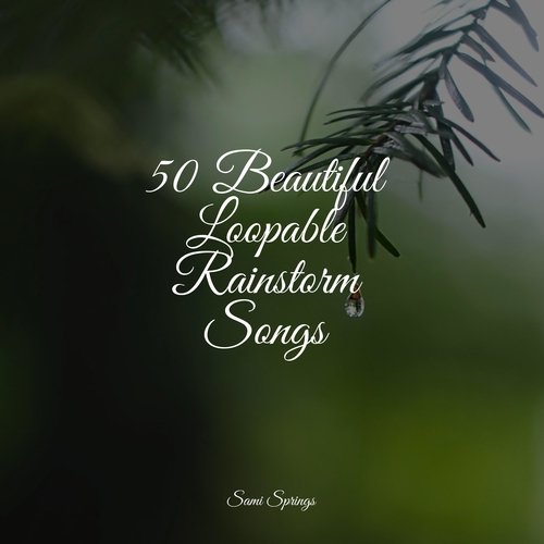 50 Beautiful Loopable Rainstorm Songs_poster_image