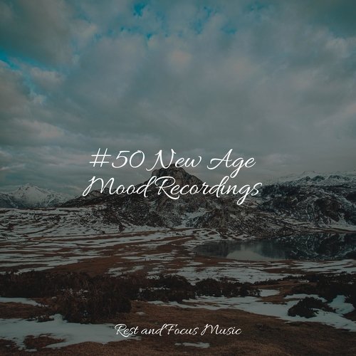 #50 New Age Mood Recordings_poster_image