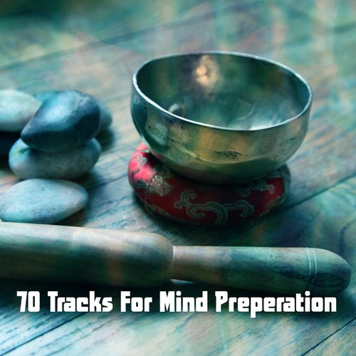 70 Tracks For Mind Preperation_poster_image