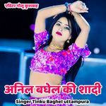 Anil baghel ki shadi