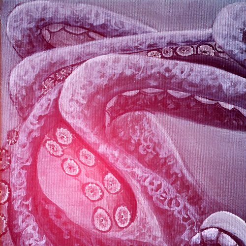 Archipelago (Dengue Dengue Dengue Remix)