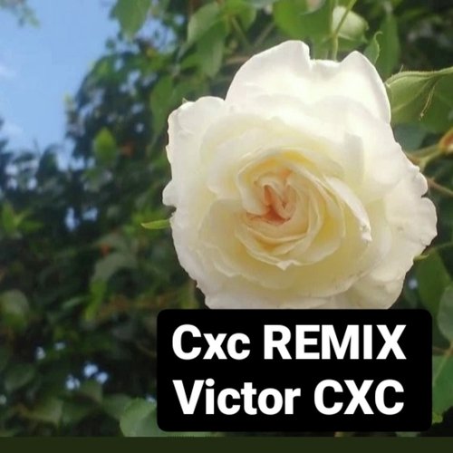 CXC REMIX cover art