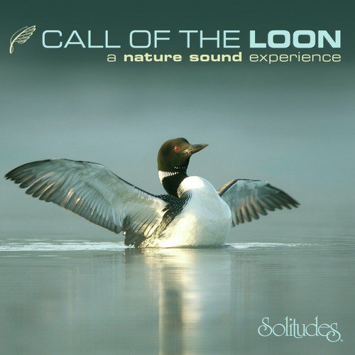 Down the River - Common Loon, Common Yellowthroat, Song Sparrow, Blue Jay cover art
