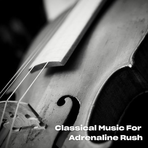 Sibelius: Symphony No. 4 in A Minor, Op. 63: IV. Allegro